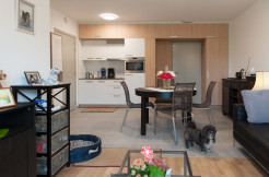 Appartement Modèle 1